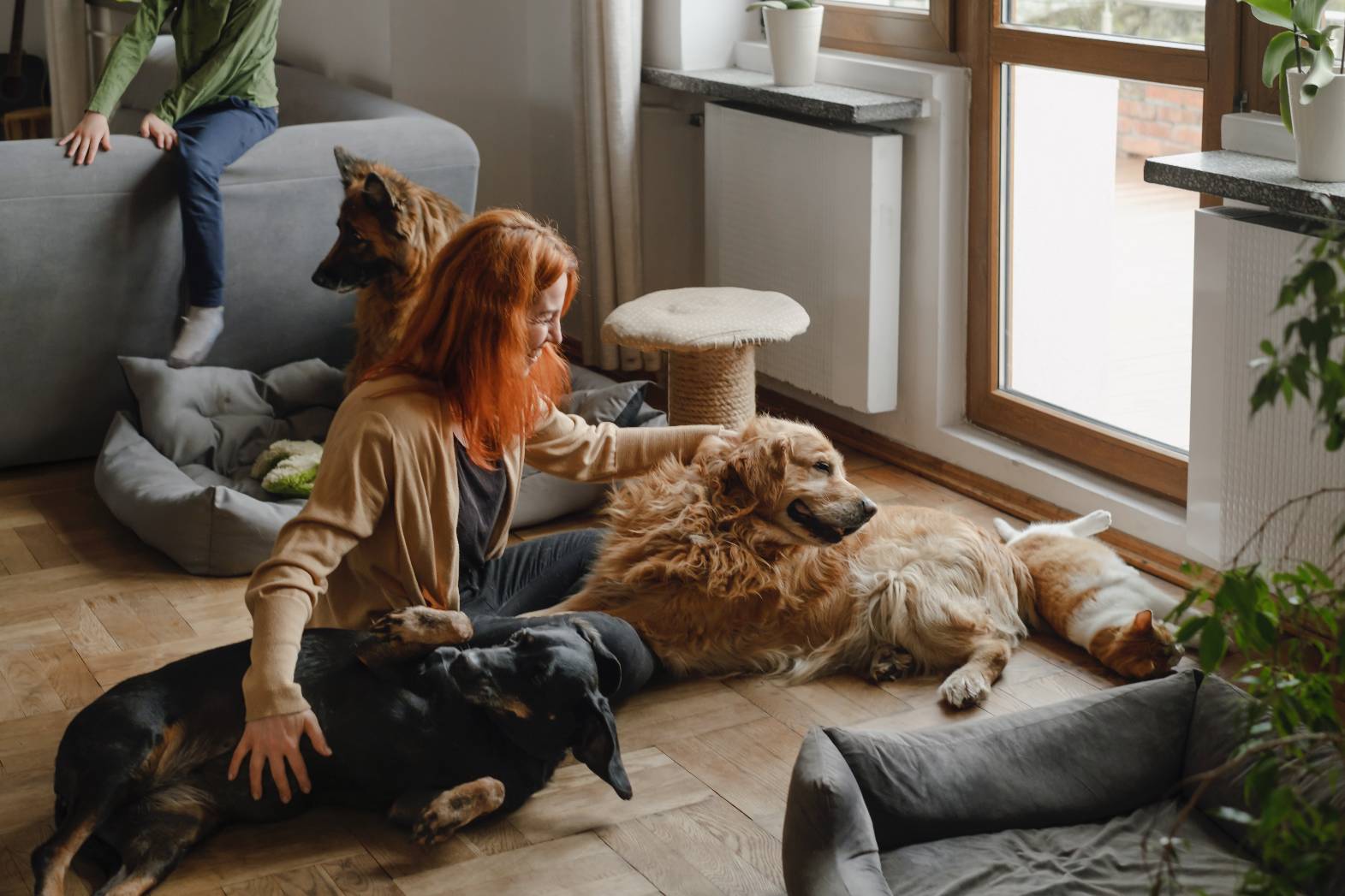 woman-with-three-dogs-cuddling-on-the-floor-2023-11-27-05-05-59-utc